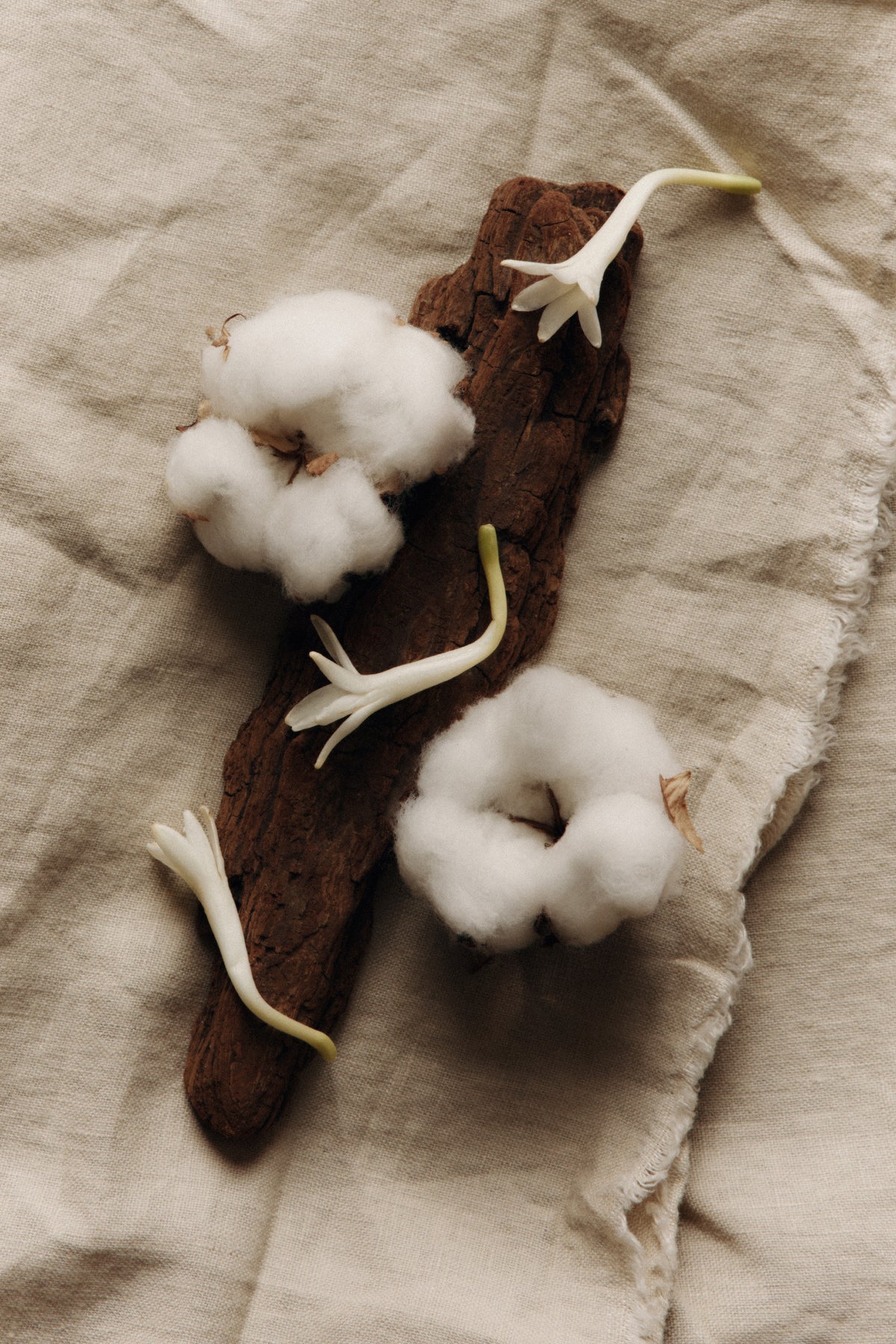 Nemat Perfumes in White Musk Roll-on