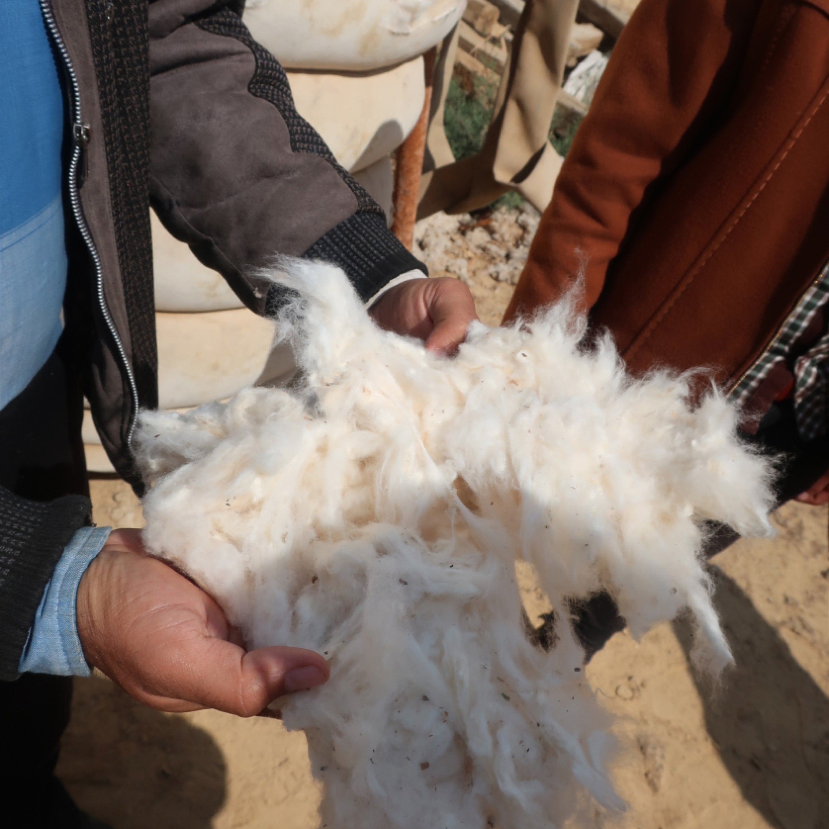 Raw Cotton