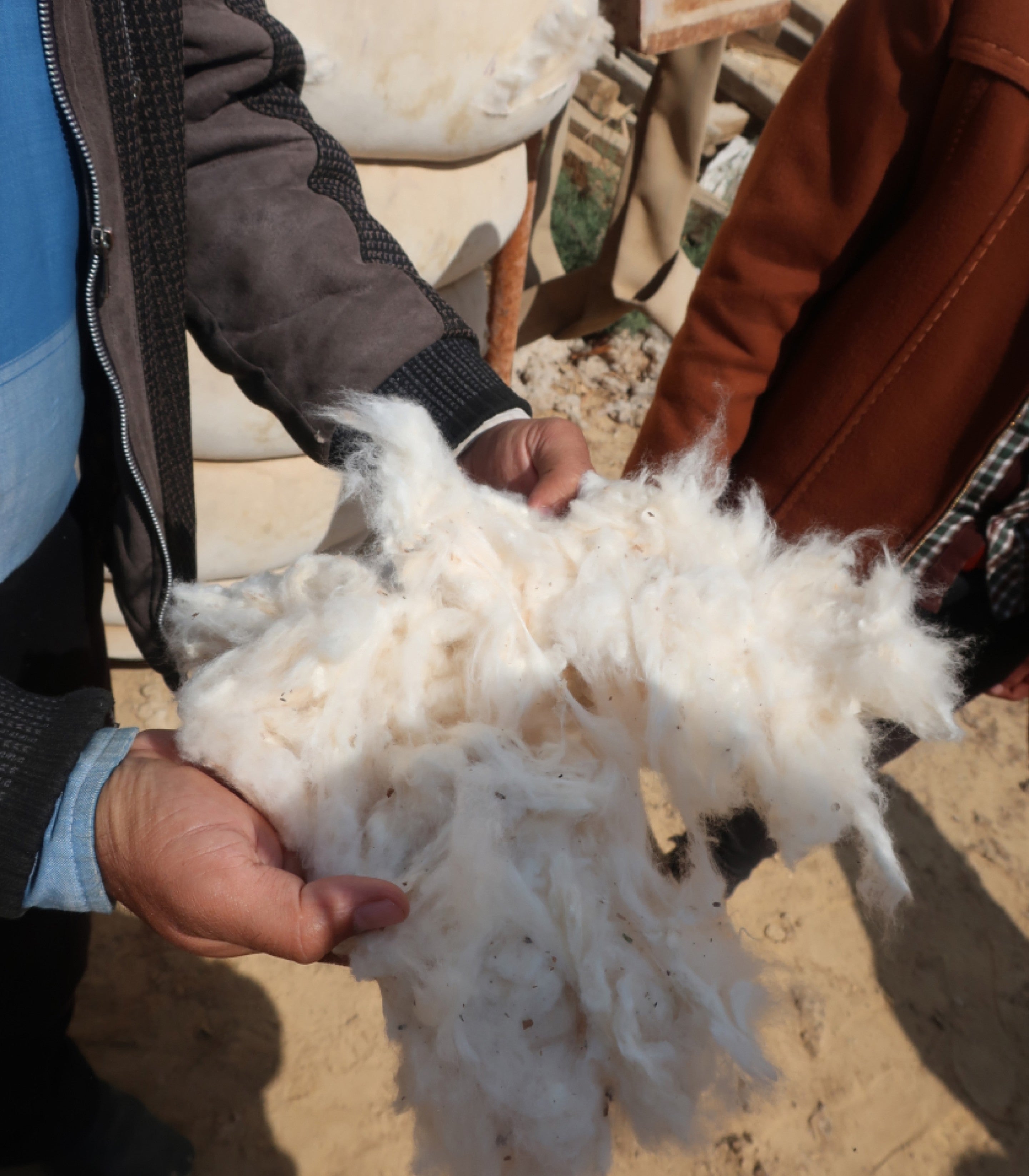 Raw Cotton